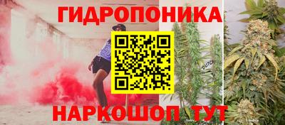 молекула духа Малоярославец