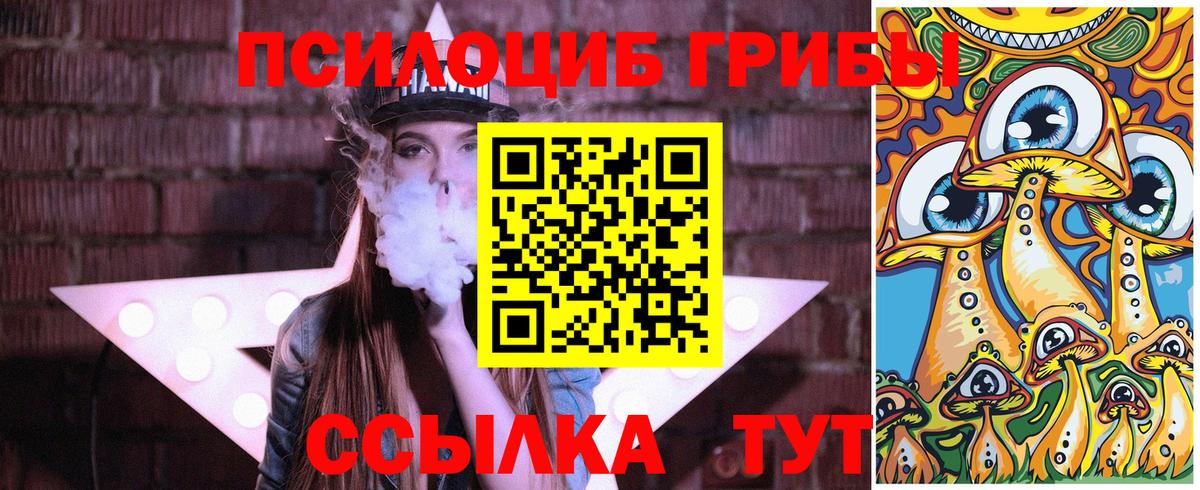 Галлюциногенные грибы мухоморы Юрга