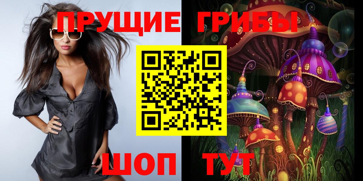 Псилоцибиновые грибы Cubensis  Вход с VPN  Юрга 